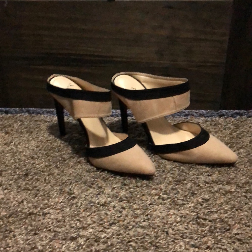 Beautiful mules